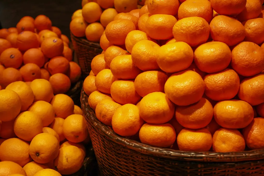 Fresh oranges prepared for sale and distribution